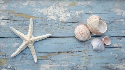 Elegant Still Life with White Starfish and Seashells