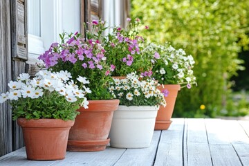 A row of flower pots sitting on a porch