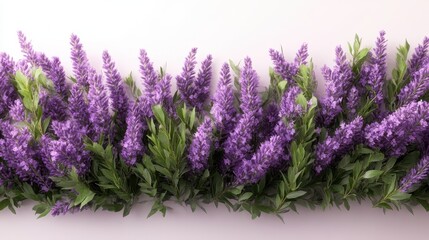 An exquisite arrangement of vibrant lavender accompanied by contrasting green leaves, showcasing nature's beauty and creating an inviting and fresh atmosphere.