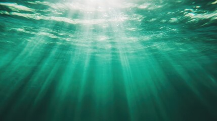 Soft rays of sunlight filter through the water, illuminating the ocean depths in a tranquil underwater scene, evoking a sense of calm and wonder.