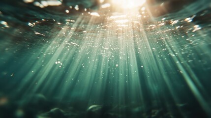 Fototapeta premium This captivating underwater image captures dramatic rays of sunlight piercing through the surface, creating a mystical ambiance that highlights the beauty of the ocean's depths.