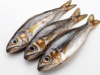 Obraz premium Pilchardus,sardines