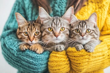 A pet adoption leaflet featuring adorable animals looking for homes