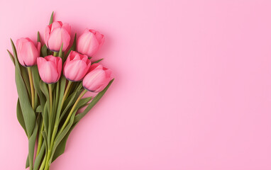 Pink tulips on pastel background  
