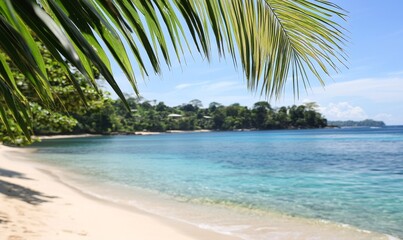 Obraz premium Tropical beach with palm trees, turquoise water, and lush hillside in background