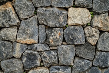 A rustic stone wall, composed of irregularly shaped grey and beige stones, with small plants sprouting between them.