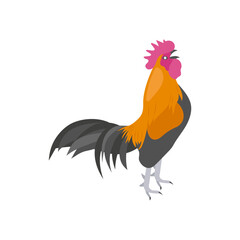 Rooster Zodiac,  China Symbols Vector Illustration