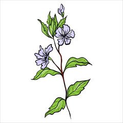 Hand Drawn Cute Flower Branch
