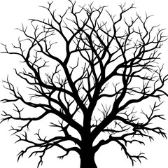 silhouette of a tree