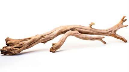 Aged Driftwood Branch Isolated on White Background - Capturing the Beauty and Magnificence of the Sea
