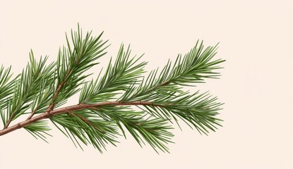 Close up of a Green Pine Branch Against a Beige Background