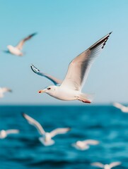 A flock of graceful seagulls soaring in perfect formation over a calm expansive coastal seascape with a clear blue sky in the background  The birds appear to be gliding effortlessly