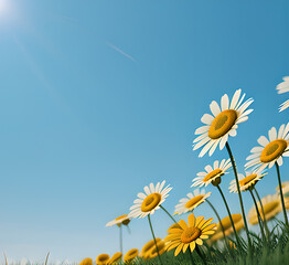 Outdoor photo of beautiful summer spring meadow with blooming field daisies and fluttering butterflies in the rays of the sun against a blue sky with clouds. floral natural.generative ai