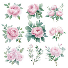 Pink and red roses, peonies