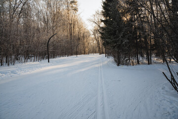 Obraz premium Imagine a tranquil, snowy road gracefully winding its way through beautiful, picturesque woods, where tall, snowladen trees create a truly stunning winter wonderland filled with magic
