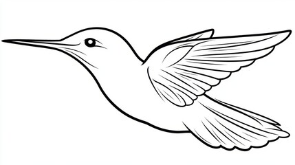 Fototapeta premium Detailed Illustration of a Hummingbird in Flight with Elegant Wings and Artistic Design