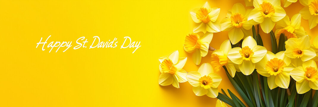 Happy St David's day floral composition with bright yellow daffodils on white background, national welsh holiday concept of floristry seasonal greeting card. Top view with free space, banner - Powered by Adobe