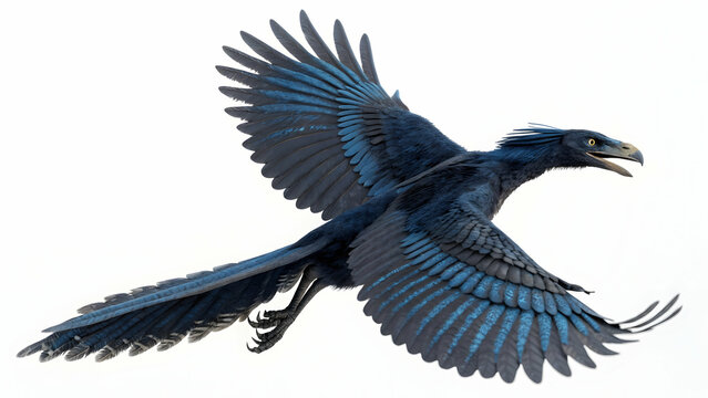 Microraptor Soaring: A stunning, digitally rendered image showcases the prehistoric bird Microraptor in mid-flight, its blue-black plumage spread wide.