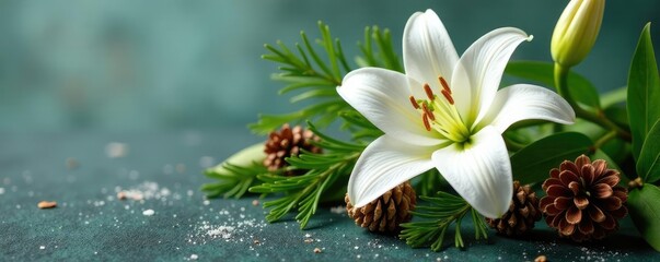 Elegant White Lily Arrangement With Pinecones, floral, green, winter