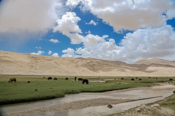 Tsomoriri Lake. It is located approximately 219 km from Leh City, capital of Ladakh. The lake and...