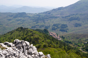 Naklejka premium Gerfalco