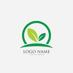 Green Leaf Logo, leaf, eco, nature logo fully editable vector template