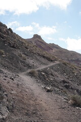 Fuerteventura, Canaries