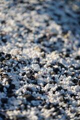 Popcorn Beach, Fuerteventura