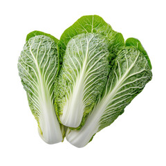 cabbage isolated on white background