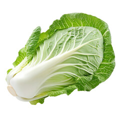 cabbage isolated on white background