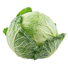 cabbage isolated on white background