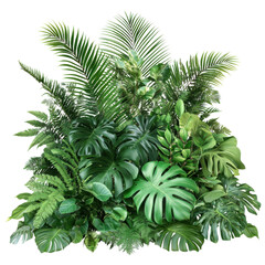 palm tree leaves on white background.