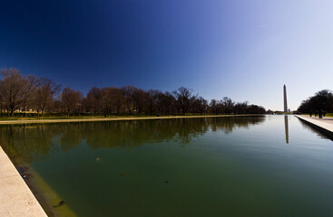 Springtime scene from the front yard of America featuring the Reflecting Pool, Elm Walk and the Washington Monument, District of Columbia 