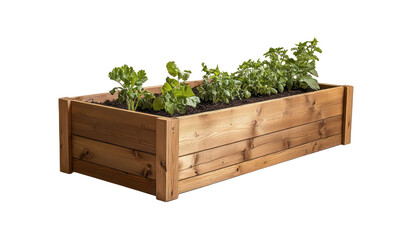 Raised garden bed with vegetables on a transparent background