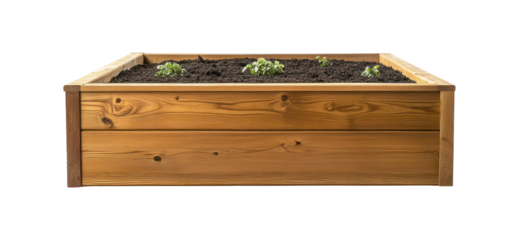Wooden raised garden bed with young plants growing inside