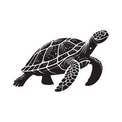 turtle vector illustration