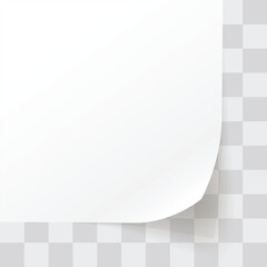 paper corner slightly lifted on template back