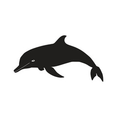 Obraz premium Dolphin Illustration Vector With White Background.