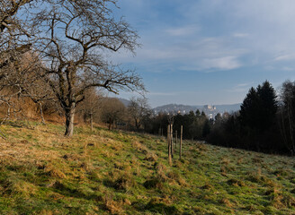 Blick zum Landgrafenschloss über den Heiligen Grund in Ockershausen, kalte Luft im Februar