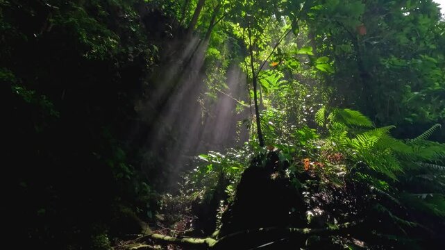Waterfall Tuasan Camiguin Thailand tropical paradise sunlight streaming high plunging water rainforest Philippines