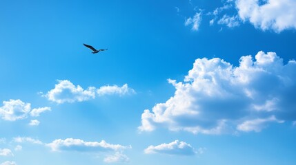 Fototapeta premium A solitary bird soaring gracefully through a bright blue sky filled with fluffy white cloud