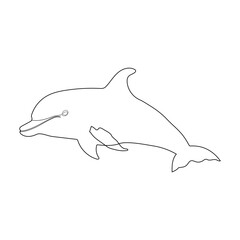 Dolphin Line Art Illustration Vector With White Background.