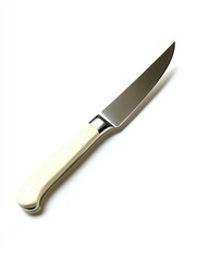 Obraz premium Knife with white handle