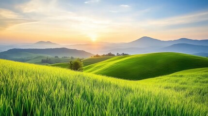 Lush green hills with a distant horizon and soft sunset hues, creating a peaceful background