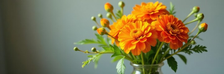 Fototapeta premium Marigold flowers blooming in a vase with fresh greens and branches, flower, marigold