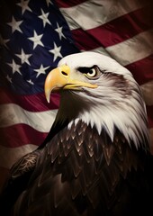 Majestic Bald Eagle Soaring High in American Skies