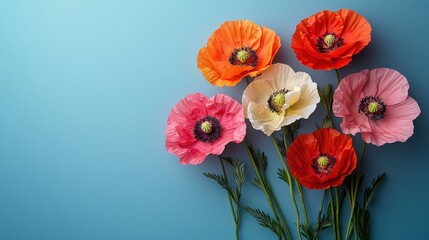 Beautiful Flat Lay of Colorful Poppies Against a Soft Blue Background Featuring a Minimalist Arrangement with Negative Space