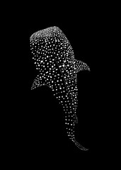 Vector Illustration of a Whale Shark Created with Dots on Black and White Background