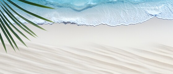Tropical Paradise Beach Scene with White Sand and Blue Waves
