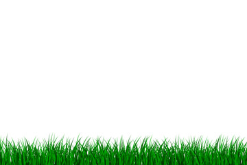 Grass Isolated Background.